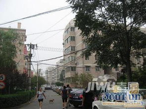 濰坊四平路洗衣粉廠宿舍二手房市場概況與小區分析