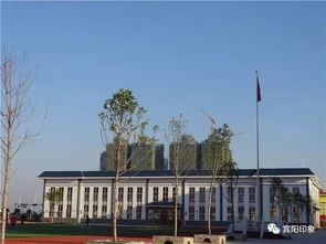 賓陽縣鳳凰小學招生啟動，優質教育資源助力賓陽房產價值提升